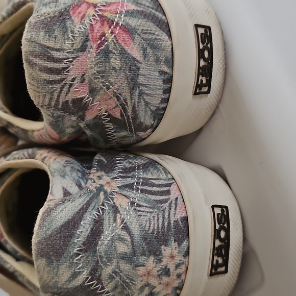 LIKE NEW TAOS SNEAKERS - Picture 4 of 5